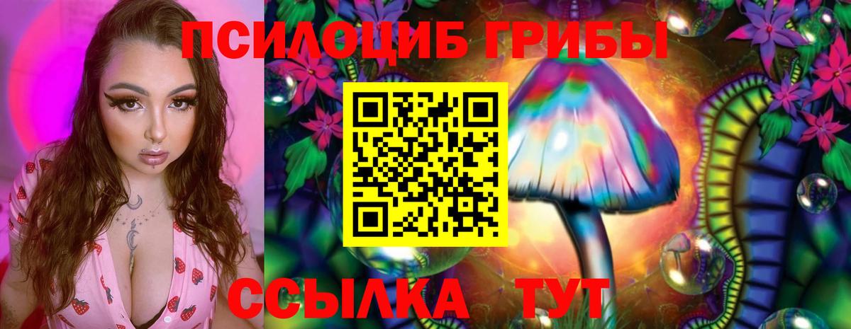 Псилоцибиновые грибы ЛСД Александров