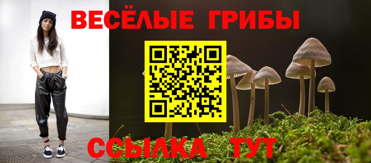 Александров  Псилоцибиновые грибы GOLDEN TEACHER  Вход с VPN 